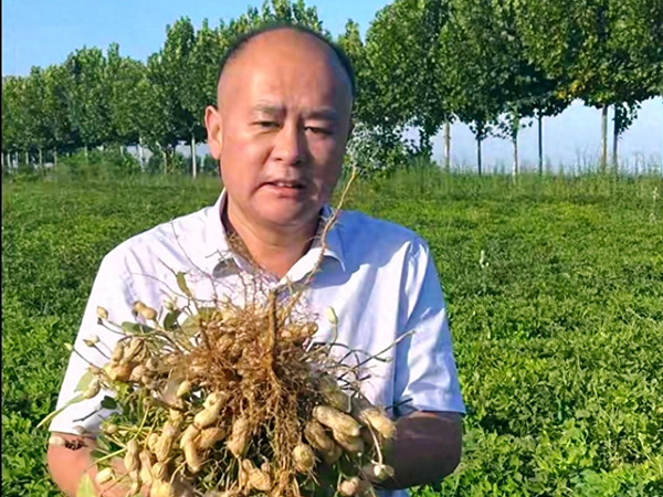 广阔天地俯首甘为孺子牛 小小花生筑梦乡村振兴路